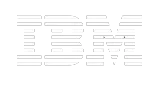 Team Building for IBM